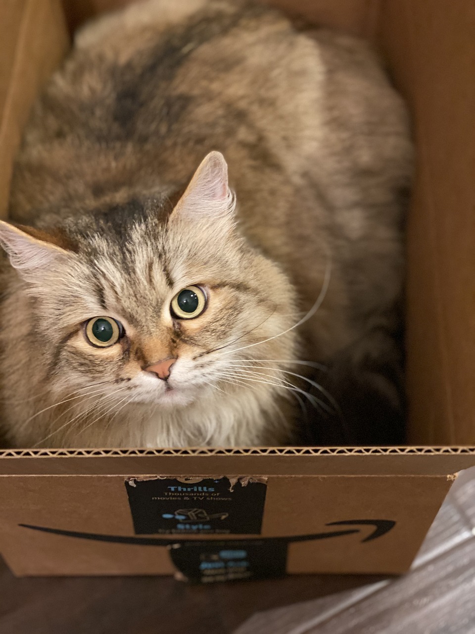 Kompleksowe rozwiązania dla efektywnych przeprowadzek